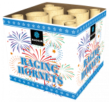 Magnum - Raging Hornets Fountains